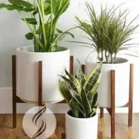 جا کفشی|جاکفشی، کمد، دراور|سبزوار, توحیدشهر|دیوار