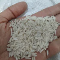 برنج هاشمی درجه1 و چای شمال