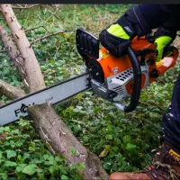 هرس وخرید تنه درختی برش خورده