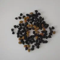 نخود سیاه ‌زرد‌بوجاری