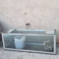 شیشه آکواریوم