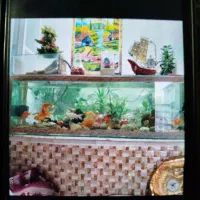 طول 160 عرض 40 ارتفاع 50