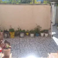 اجاره خانه|اجارهٔ خانه و ویلا|قائمشهر, |دیوار