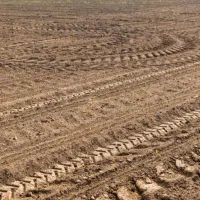 اجاره زمین کشاورزی در همدان روستای حسام اباد