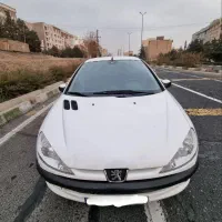 ۲۰۶ تیپ۵ فرانسوی بی رنگ