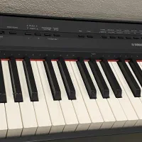 پیانو p115 دیجیتال
