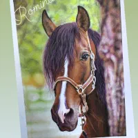 آموزشگاه طراحی نقش خیال|خدمات آموزشی|خرمدره, |دیوار