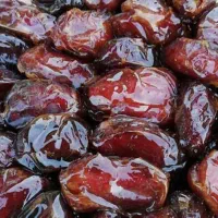 خرمای کبکاب دشتستان