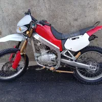 آمیکو تریل خشک