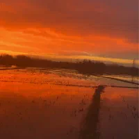 نیازمند راننده پایه 2