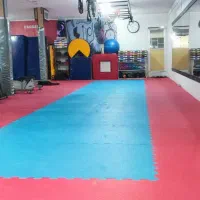 مربی باشگاه