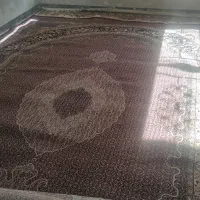 فروش فرش|فرش|شیراز, شیخ روزبهان|دیوار