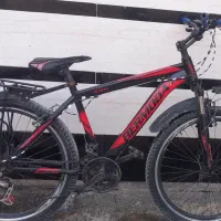 شیبان شبیشه کوی امام خمینی