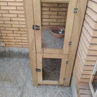 قفس|لوازم جانبی حیوانات|رفسنجان, |دیوار