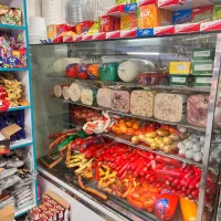یخچال ویترینی شیلا
