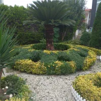 باغبانی و نگهداری فضای سبز|خدمات باغبانی و درختکاری|عباسآباد, |دیوار