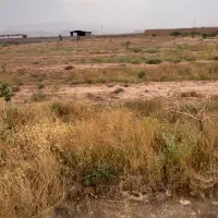 زمین با مجوز گلخانه|فروش دفتر صنعتی، کشاورزی، تجاری|کرمان, |دیوار