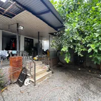 ویلا ۲۵۰متری بافت جاده سرخرود|فروش خانه و ویلا|دابودشت, |دیوار