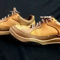 کفش ۳۱۳|کیف، کفش، کمربند|رشت, کوی مهر|دیوار