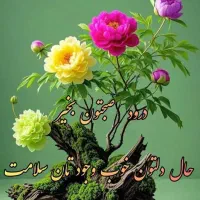 مسافر