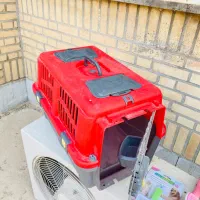 باکس سگ و گربه با وسایل