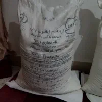 آرد گندم