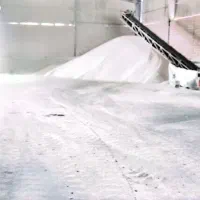 کارگر نظاعت سالن