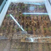 باقلوا استانبولی ترکی 320 عمده کیفیت شعار ماس