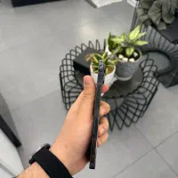 13 pro max بدون ریجستر|موبایل|تهران, صادقیه|دیوار