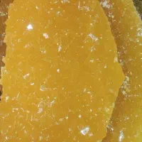 پخش انواع نبات اصل یزد