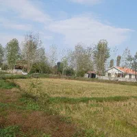 ۵۰۰مترزمین داخل طرح ویشگاننک سنگررشت|فروش زمین و ملک کلنگی|سنگر, |دیوار