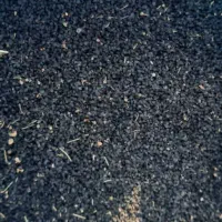 تیم پیاز قرمز درجه یک 1700