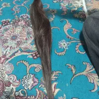 مو طبیعی