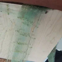 یک عدد سلیه و یک عدد تور راهبند ( شطاوی)