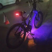 نونو 24