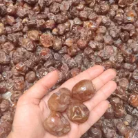 خرما برحی