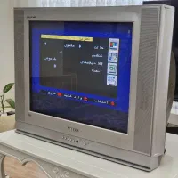 تلویزیون