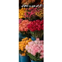 نظافت درمنزل