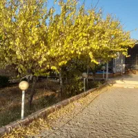 باغ ویلا فروشی .کلاکوب|فروش خانه و ویلا|مشهد, کلاکوب|دیوار