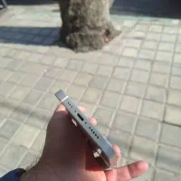 iphone 12|موبایل|رشت, جانبازان|دیوار
