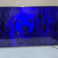 تعمیر تلویزیون در منزل|خدمات پیشه و مهارت|اسلام‌شهر, زرافشان|دیوار