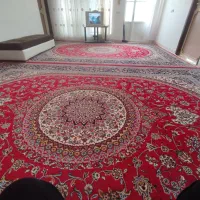 فرش تلویزیون|فرش|ایلام, |دیوار