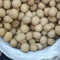 گردو درجه یک