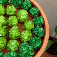 شروع یک کار پردرآمد خانگی
