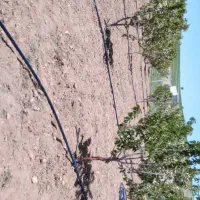 کار‌ با تیلر