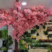 درختچه گل شکوفه گیلاس سیب بهاری