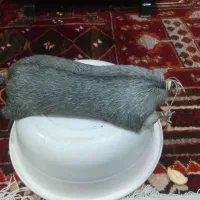 فروش هیزه جاروغن حیوانی|ظروف نگهدارنده، پلاستیکی، یکبارمصرف|اندیمشک, |دیوار