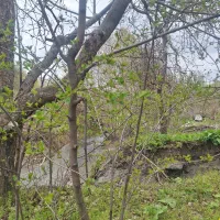 تور طبیعت مشهد