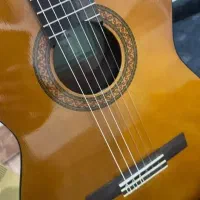 آموزش خصوصی گیتار و خوانندگی