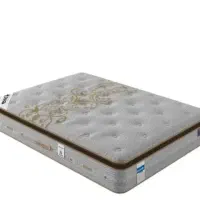 تشک اوست مدل رینارد کلاسB